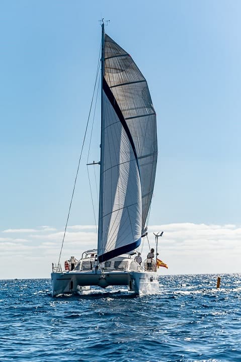 Ultreia 6