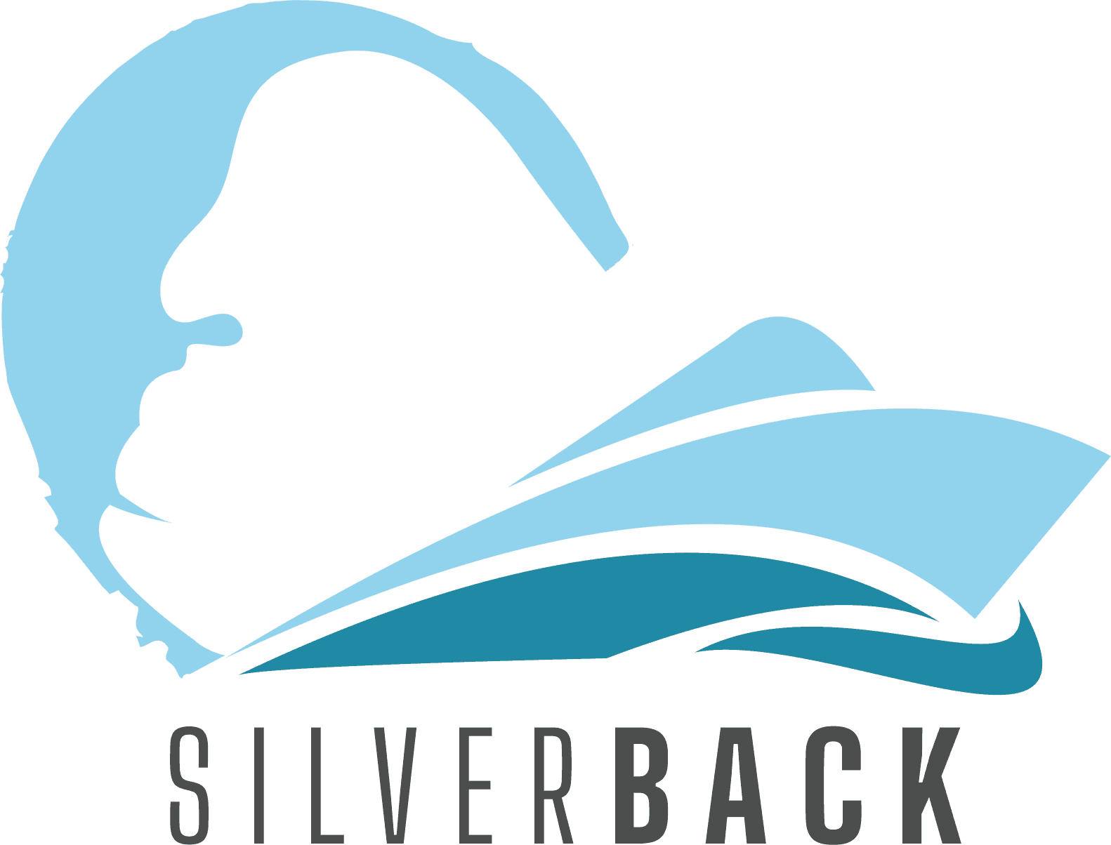 SILVERBACK YACHT COMPANY